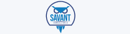 Savant Consultores